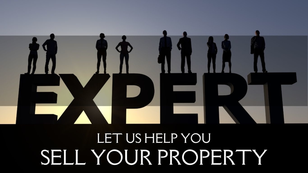 bic realty experts