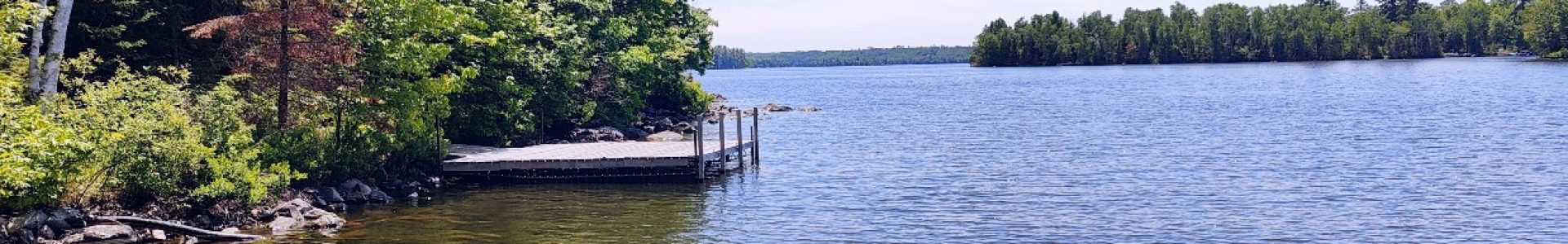 Shoreline
