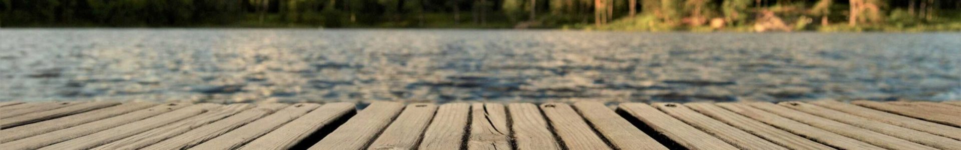 pexels-grizzlybear-421759(1)